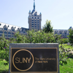 SUNY