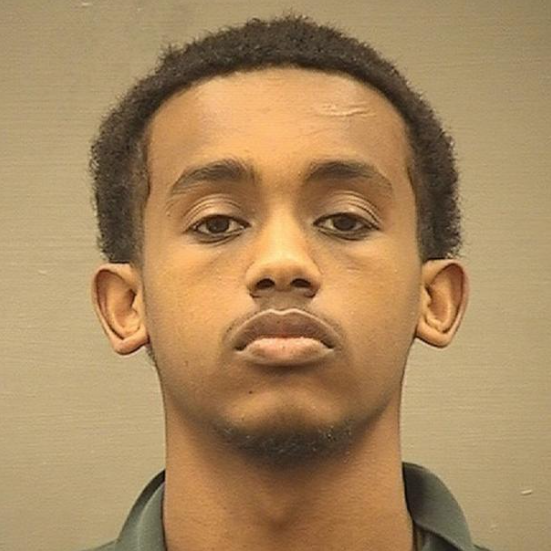 Abdullah Ezzeldin Taha Mohamed Hassan,